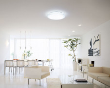 ODELIC �����ǥ�å� LED ������󥰥饤�� OL251584NGR �̿�2