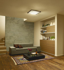 ܹ|DAIKO ŵ LEDĴ DCL-42105