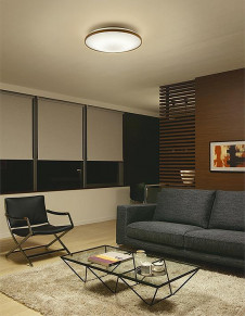 ܹ|DAIKO ŵ LEDĴ DCL-42117