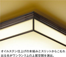 ͼ̿|DAIKO ŵ LEDĴ DCL-42174