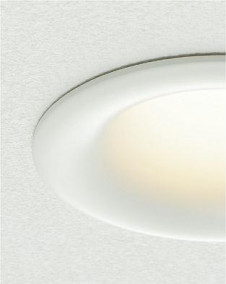 ͼ̿|DAIKO ŵ LED饤 DDL-5655YWG