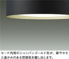 ͼ̿|DAIKO ŵ LEDĴڥ DPN-42376