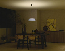 ܹ|DAIKO ŵ LEDĴڥ DPN-42378