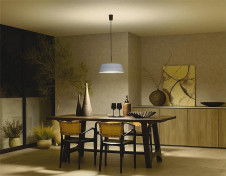 ܹ|DAIKO ŵ LEDĴڥ DPN-42379