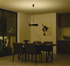 ܹ|DAIKO ŵ LEDĴڥ DPN-42380