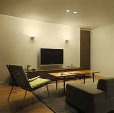 ܹ|DAIKO ŵ LED֥饱å DBK-39521YG