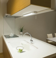 ܹ|DAIKO ŵ LEDå饤 DCL-38488W