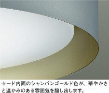 ͼ̿|DAIKO ŵ LEDĴ DCL-41930