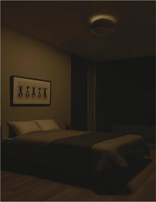 ܹ|DAIKO ŵ LEDĴ DCL-41933