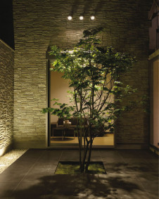 ܹ|DAIKO ŵ LEDʹ󥵡եȥɥݥå DOL-3764XB