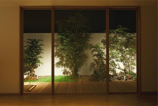 ܹ|DAIKO ŵ LEDȥɥݥå DOL-4441YS