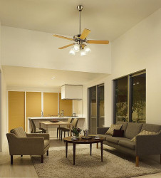 ܹ|DAIKO ŵ 󥰥ե󱩺 DP-35206