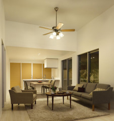 ܹ|DAIKO ŵ LED󥰥ե DP-37982