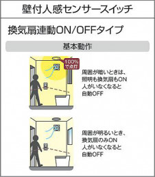 |DAIKO ŵ տʹ󥵡å DP-41174