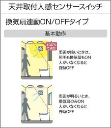 |DAIKO ŵ ʹ󥵡å DP-41939