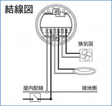 |DAIKO ŵ ʹ󥵡å DP-41939