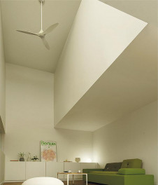 ܹ|DAIKO ŵ 󥰥ե DP-41996