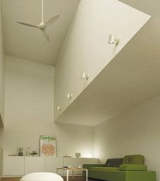 ܹ|DAIKO ŵ 󥰥ե DP-41998