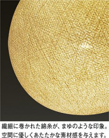 ͼ̿|DAIKO ŵ LEDڥ DPN-40595Y