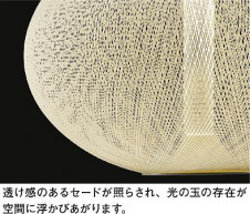 ͼ̿|DAIKO ŵ LEDڥ DPN-40798Y