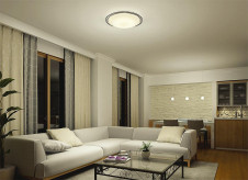 ܹ|DAIKO ŵ LEDڥ DPN-41497YG