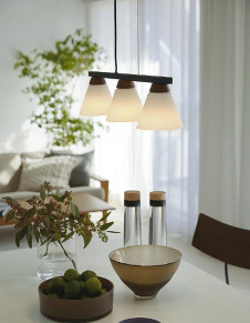 ܹ|DAIKO ŵ LEDڥ DPN-41976Y