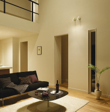 ܹ|DAIKO ŵ LEDݥåȥ饤 DSL-4902ABG