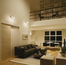 ܹ|DAIKO ŵ LEDݥåȥ饤 DSL-5324AWG