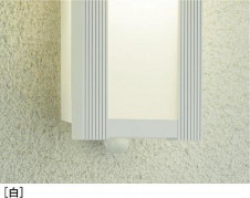 ͼ̿|DAIKO ŵ LEDȥɥ饤 DWP-41163Y