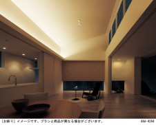 Panasonic ۲ LGB50294XB1 ̿2