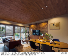 Panasonic ������饤�� LGD3003VLE1 �̿�1