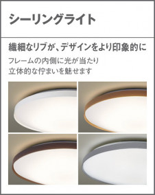 Panasonic 󥰥饤 LSEB1163Z ̿3