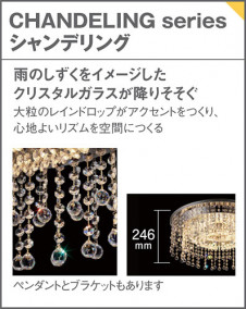 Panasonic ǥꥢ SLC30124 ̿1