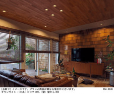 Panasonic 饤 SLD1010VLB1 ̿1