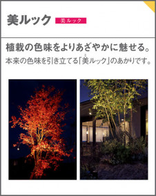 Panasonic ƥꥢ饤 SLW80624LE1 ̿4