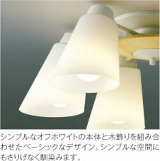 ħ̿ Koizumi ߾ LEDǥꥢ AA42070L