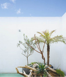 ܹ̿ Koizumi ߾ ա AE47337E