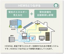  Koizumi ߾ ޡȥץ AE49233E