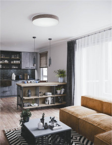 ܹ̿ Koizumi ߾ LED AH55638