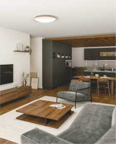 ܹ̿ Koizumi ߾ LED AH55820