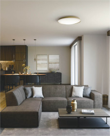 ܹ̿ Koizumi ߾ LED AH55830