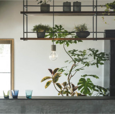 ܹ̿ Koizumi ߾ LEDڥ AP49034L