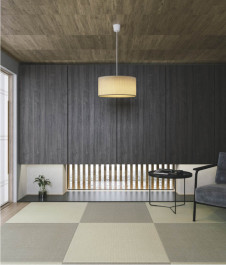 ܹ̿ Koizumi ߾ LEDڥ AP51506