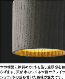 ħ̿ Koizumi ߾ LEDڥ AP53979