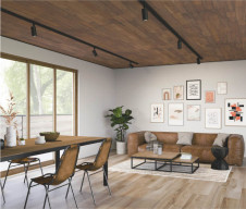 ܹ̿ Koizumi ߾ LEDݥåȥ饤 AS51477