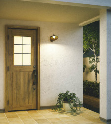 ܹ̿ Koizumi ߾ LEDɱ֥饱å AU42253L