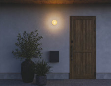 ܹ̿ Koizumi ߾ LEDɱɼ֥饱å AU55586