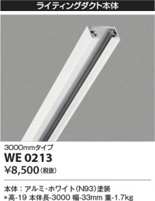 β Koizumi ߾ 饤ƥ󥰥 WE0213