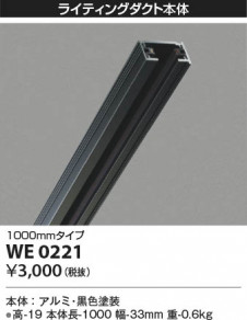 β Koizumi ߾ 饤ƥ󥰥 WE0221