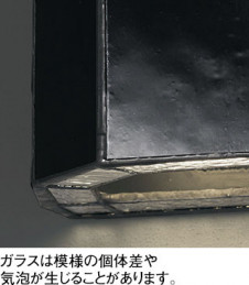 ODELIC ǥå ֥饱å OB255380NR ̿1